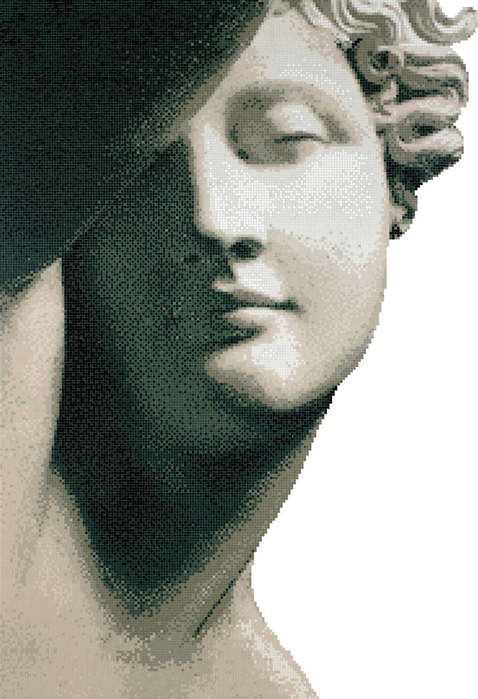 Mosaïque murale BISAZZA Endemione en verre, composition pour panneau décoratif sur mesure